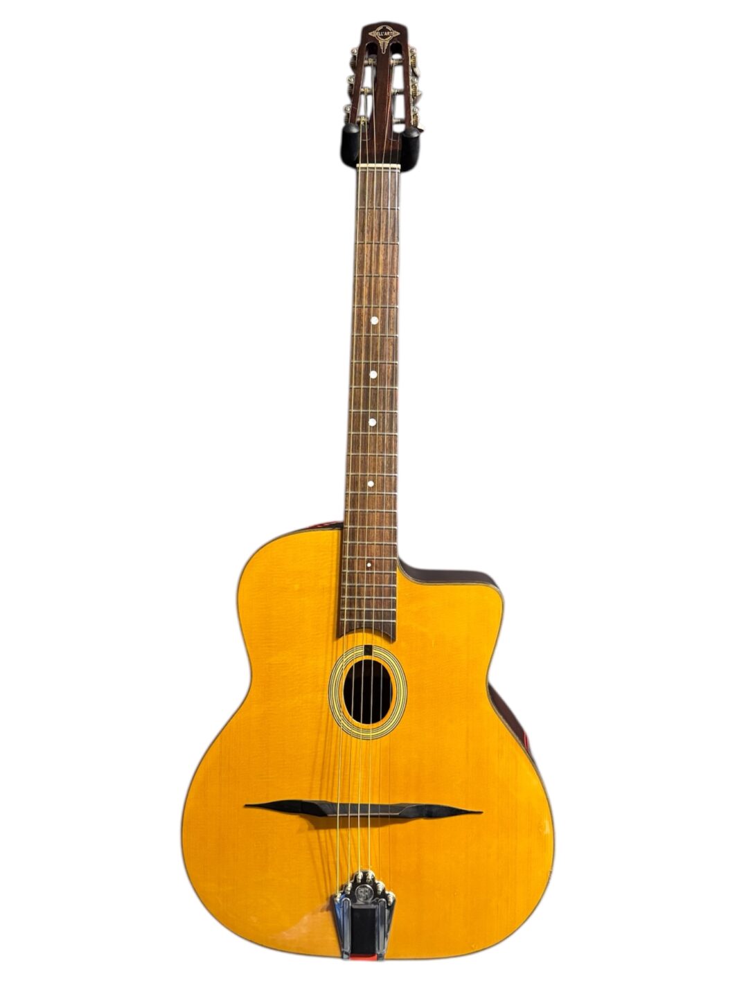 Chitarra Acustica Dell Arte DG-P1