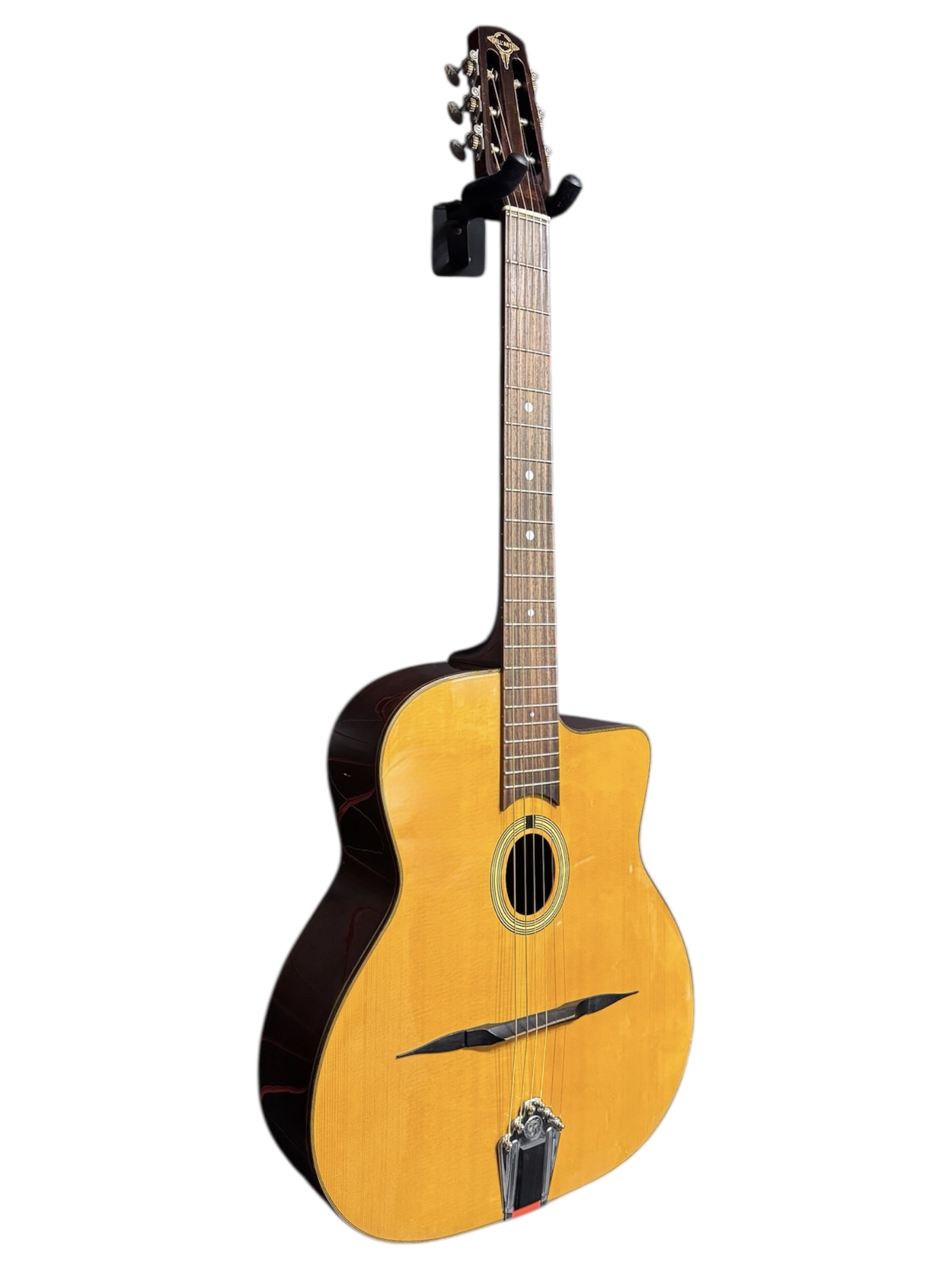 Chitarra Acustica Dell Arte DG-P1 - immagine 2